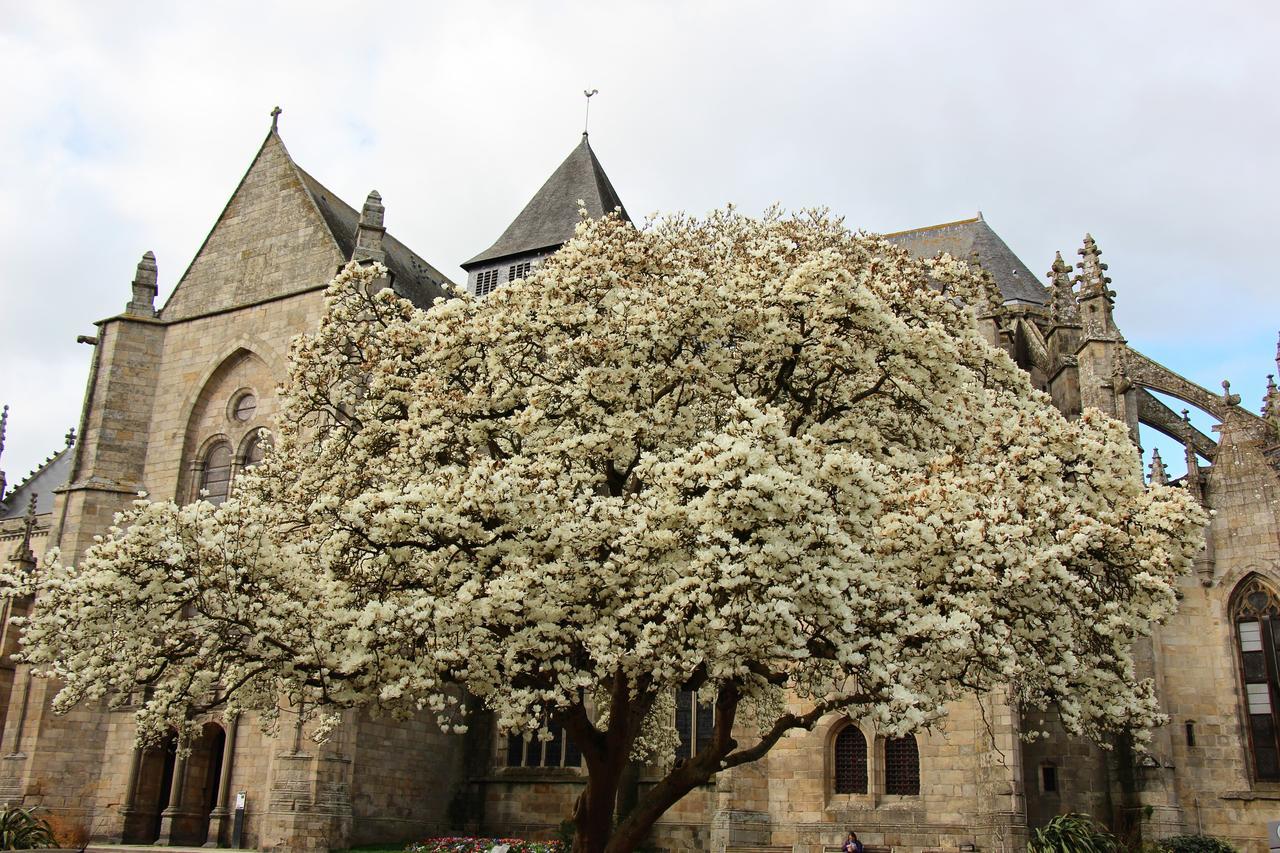 La Tocade Del Arte - Dinan Bed & Breakfast Lanvallay Luaran gambar